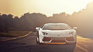 white luxury car, Lamborghini, Lamborghini Aventador, car, vehicle