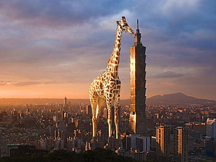 brown and white giraffe statue, giraffes, building