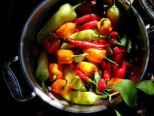 green, orange, and red bell peppers in gray pot HD wallpaper