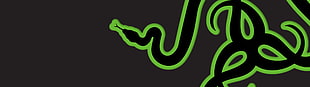 Razer logo