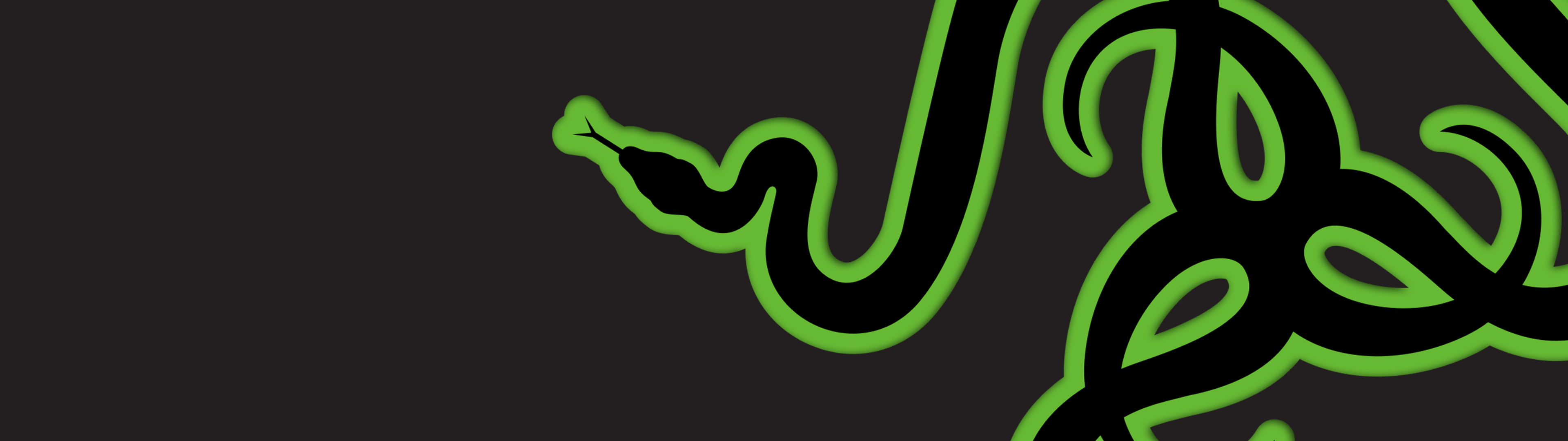 Razer logo