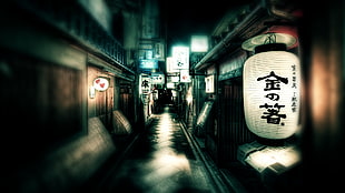 focus photography of Japanese town hallway