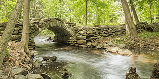 stone bridge over a river time lapse photography HD wallpaper