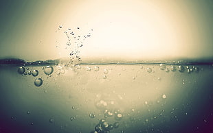 rain drops, water HD wallpaper