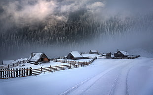 wooden house covered with snow, nature, landscape, white, cold