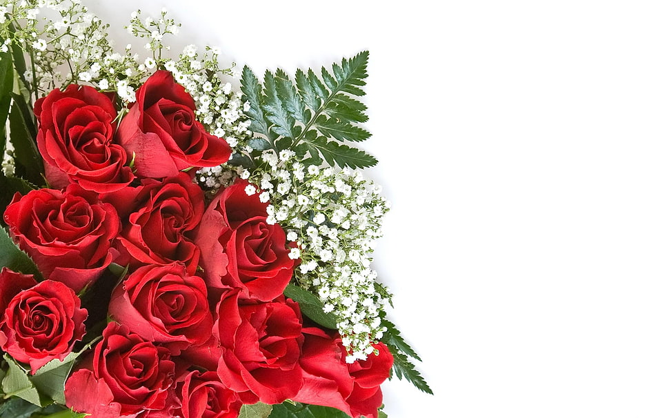red roses bouquet HD wallpaper