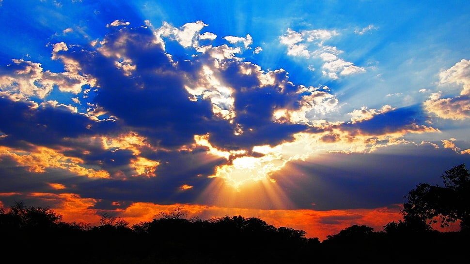 white clouds, nature HD wallpaper
