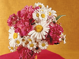 Bouquet,  Camomiles,  Peonies,  Vase HD wallpaper