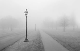 greyscale photography of light post between pathway and road during fog
