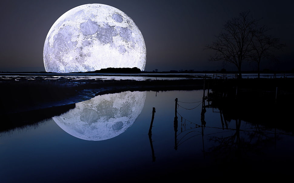 full moon wallpaper, Moon, river, 3D, night HD wallpaper