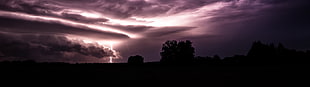 silhouette photo of tree, landscape, storm, multiple display