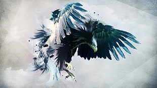 black and gray eagle illustration, animals, birds, digital art, artwork