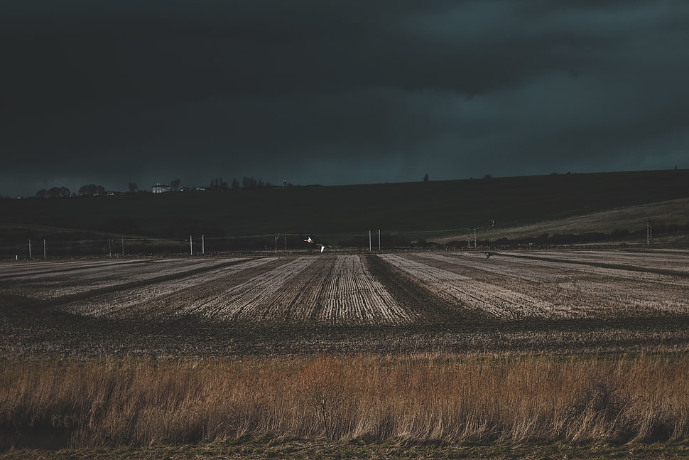 photo of gray open field during dark cloudy day HD wallpaper