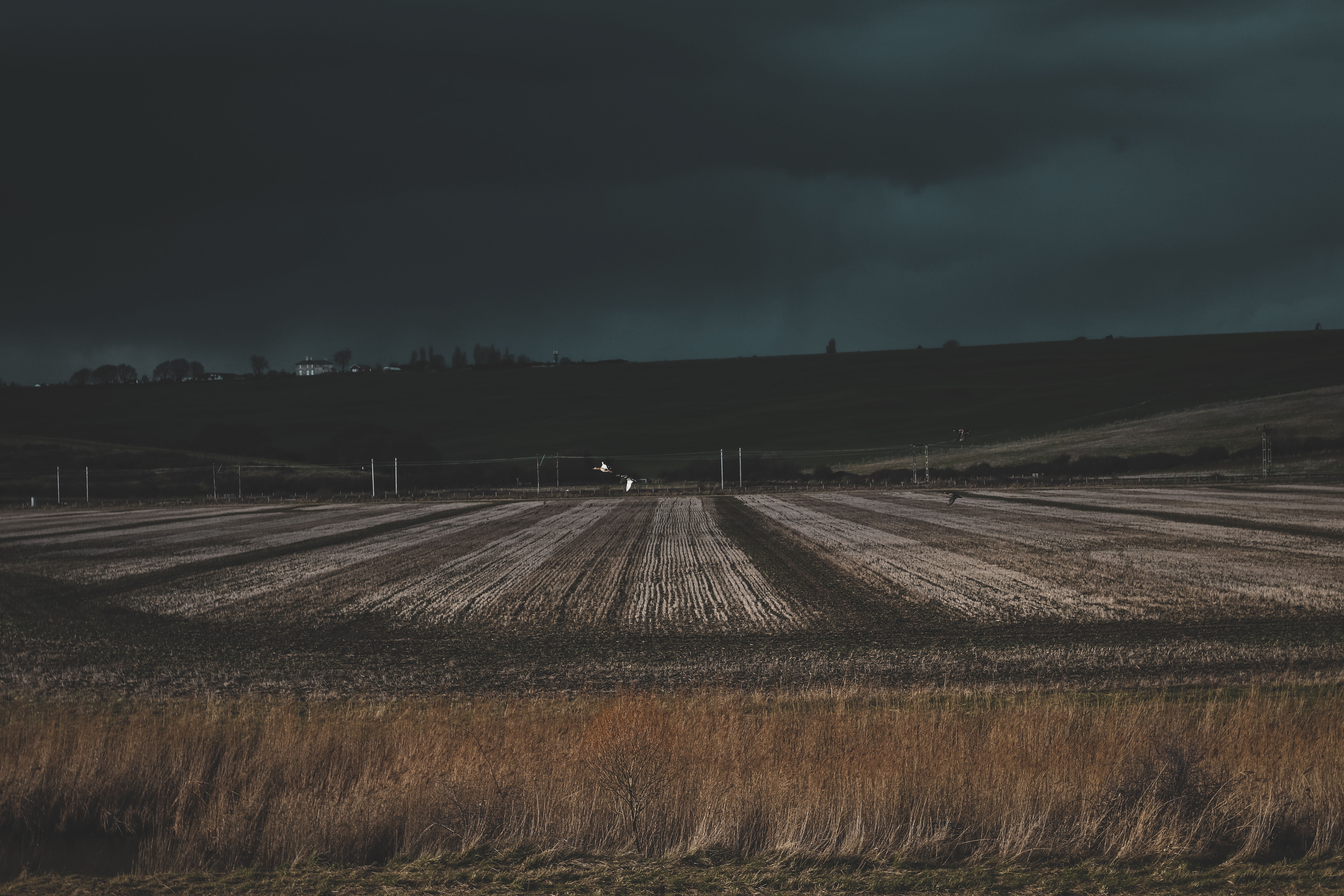 photo of gray open field during dark cloudy day