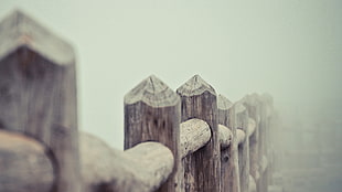 brown wooden fence, photography, nature, wood, fence