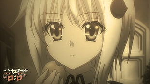 female anime character, High School DxD, Toujou Koneko, anime