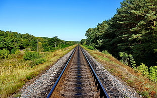 black train rails, nature HD wallpaper