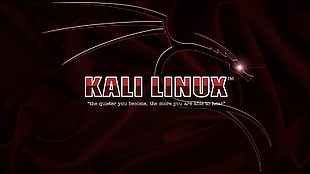Kali Linux logo HD wallpaper