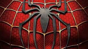 Marvel Spider-Man logo, logo, Marvel Comics, Spider-Man HD wallpaper
