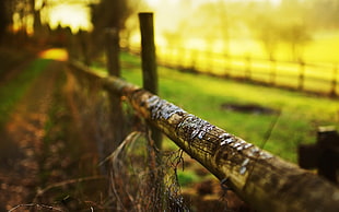 selective focus photography of fence, depth of field, fence, nature, sunlight