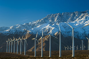 white windmills during daytime, california