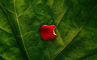 red Apple logo