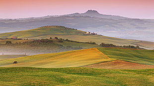 green grass field, landscape, Italy