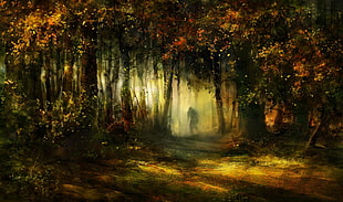 painting of person's silhouette surrounded by trees, forest, drawing, fall, leaves