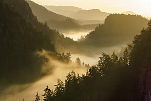 landscape photography of fog under the mountains