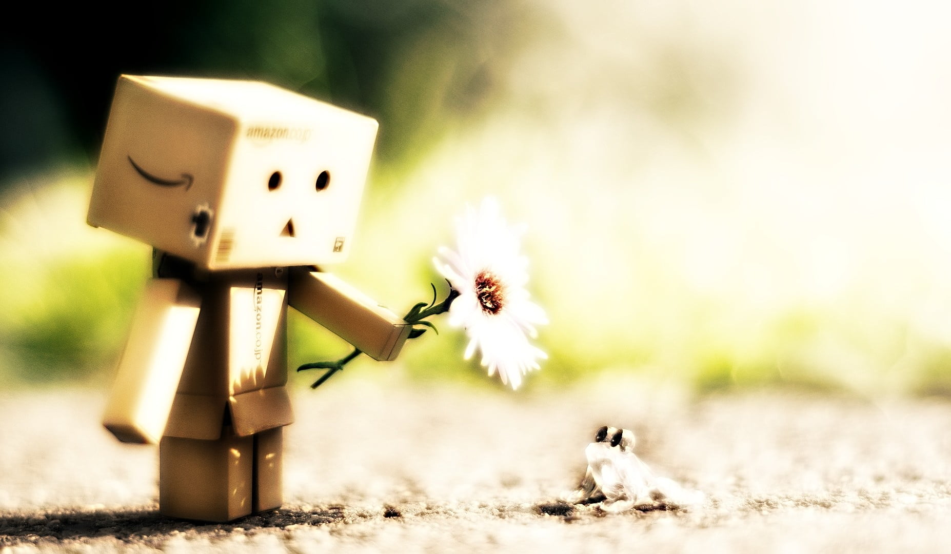 white and brown wooden table, Danbo