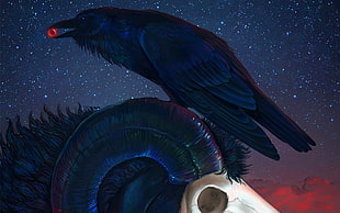 black crow illustration, birds, Halloween, raven, sheep