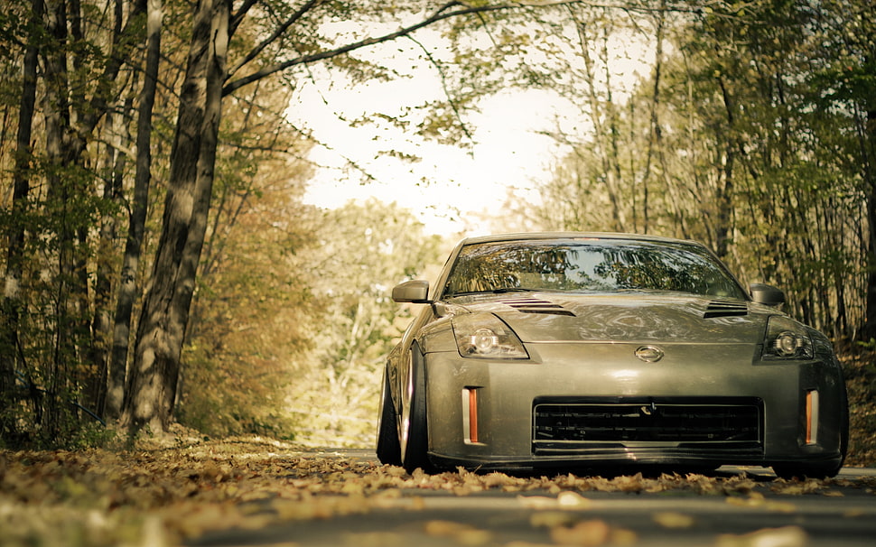 gray car, car, vehicle, trees HD wallpaper