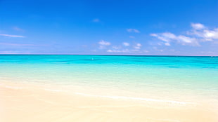 blue ocean and white sand HD wallpaper