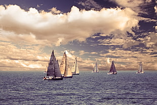 six sailboats on body of water HD wallpaper
