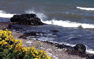 Stones,  Coast,  Splashes,  Waves HD wallpaper