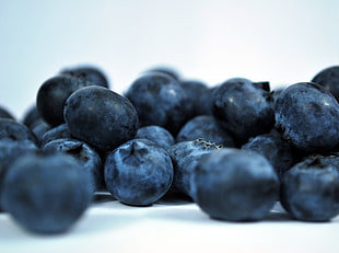 ripe blueberries HD wallpaper