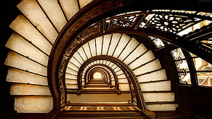photo of brown wooden spiral stair