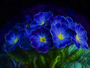 macro shot of blue flowers HD wallpaper