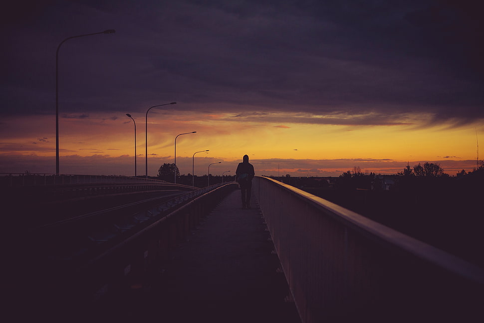 gray asphalt road, Bridge, Man, Night HD wallpaper
