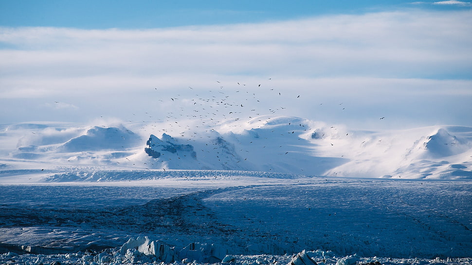 snow covered mountain near sea HD wallpaper