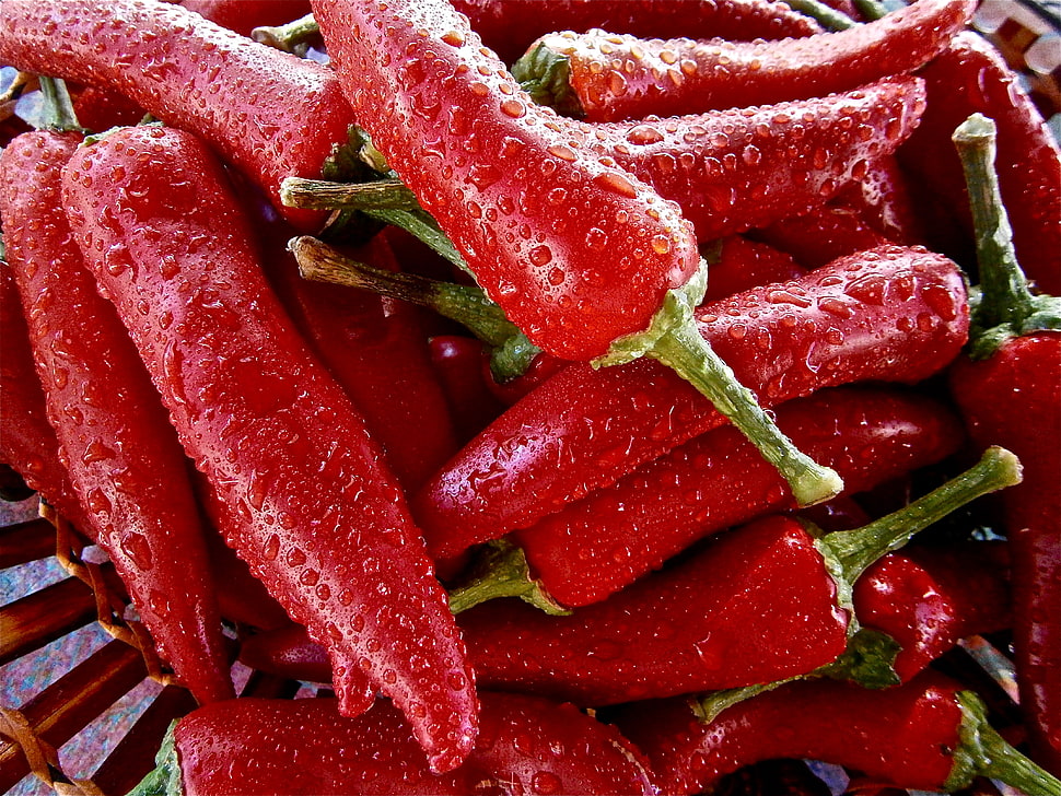 wet red chili peppers HD wallpaper