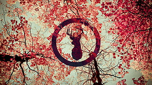 brown deer illustration, deer, red, trees, Japanese maple