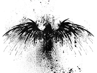 black bird illustration, black, white, Gladius