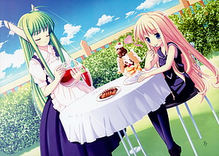 green and pink haired girls beside table illustration