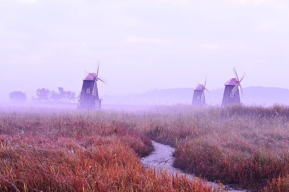 windmill surrounded by green grass HD wallpaper