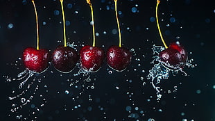 focus photography of five cherries, liquid, water, cherries, fruit HD wallpaper