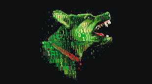 green dog digital photo, dog, digital art, numbers, skull and bones HD wallpaper