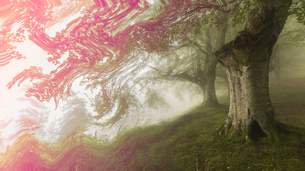 pink leaf tree painting, forest, nature, psychedelic, trees HD wallpaper