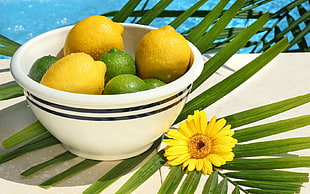 citrus fruits in white bowl with yellow daisy closeup photo