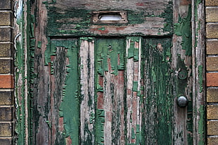 green and gray wooden door, wood, door, old building